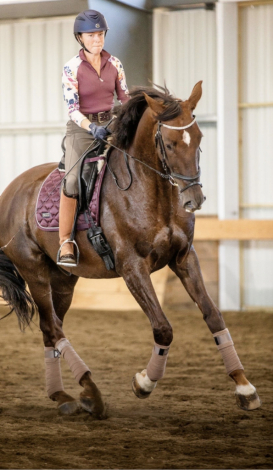 HorseID: 2294201 Jackson W - PhotoID: 1080487