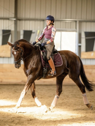 HorseID: 2294201 Jackson W - PhotoID: 1080488