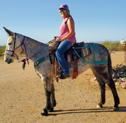 HorseID: 2295653 MoonPie - PhotoID: 1075548