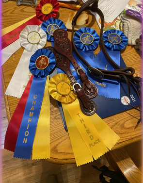 HorseID: 2296504 Sunny Raygun - PhotoID: 1079718