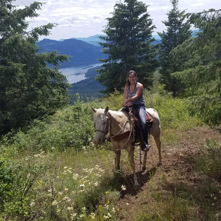 HorseID: 2296739 Hollywood Whiz - PhotoID: 1079023