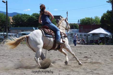 HorseID: 2296739 Hollywood Whiz - PhotoID: 1079024