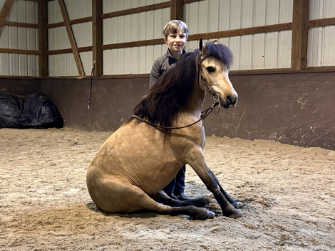 HorseID: 2297022 Twix - PhotoID: 1077327