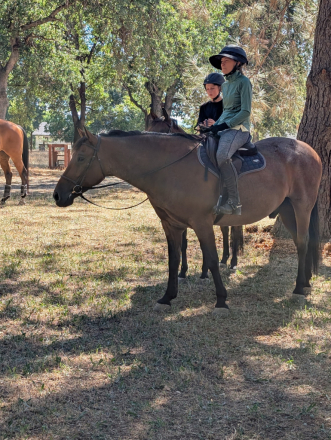 HorseID: 2297522 Royal Event - PhotoID: 1077990