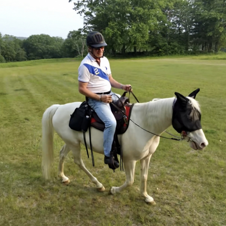 HorseID: 2297563 Spirit - PhotoID: 1079972