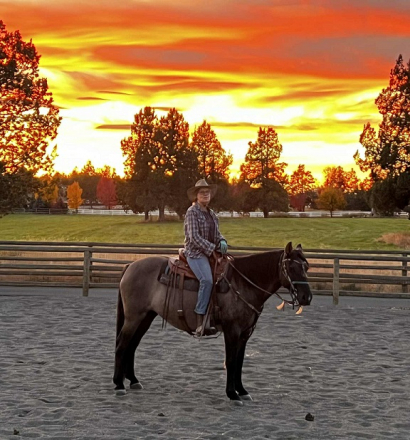 HorseID: 2297764 Split-Ridge Steel Stetson - PhotoID: 1078205