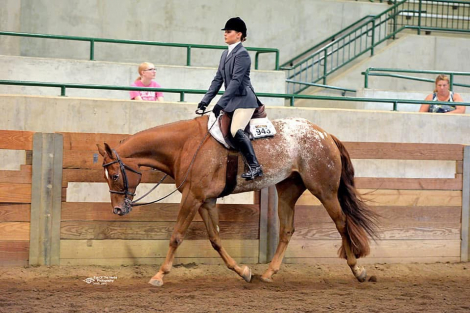 HorseID: 2297788 Natural Hero - PhotoID: 1078344