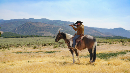 HorseID: 2297799 Dun Gone Chrome - PhotoID: 1078363