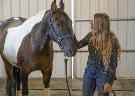 HorseID: 2297799 Dun Gone Chrome - PhotoID: 1078364