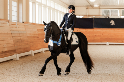 HorseID: 2297827 Absolute ISF - PhotoID: 1078406