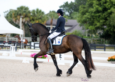 HorseID: 2297827 Absolute ISF - PhotoID: 1078408