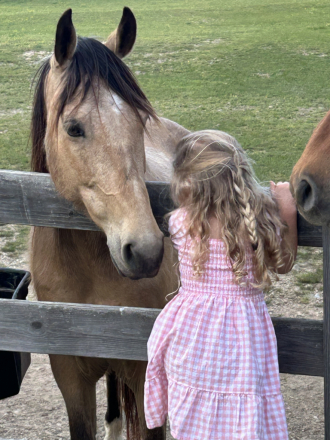 HorseID: 2298044 Mighty Fine - PhotoID: 1078684