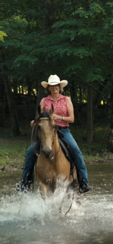 HorseID: 2298044 Mighty Fine - PhotoID: 1078688