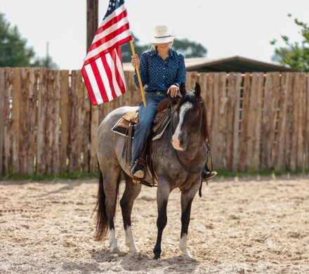 HorseID: 2298186 RW LITTLE DUDE - PhotoID: 1078896