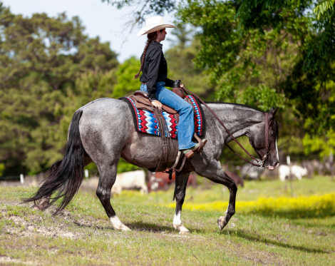 HorseID: 2298186 RW LITTLE DUDE - PhotoID: 1078897