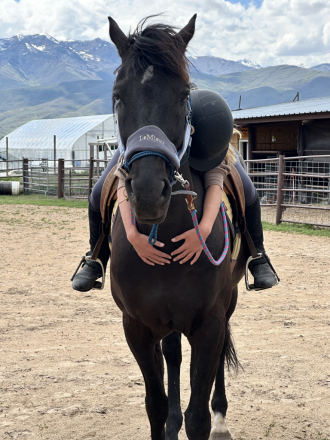 HorseID: 2298246 Jack Sparrow - PhotoID: 1078975