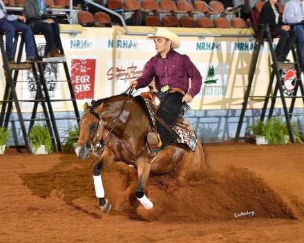 HorseID: 2298294 Dun It Trashya - PhotoID: 1079040