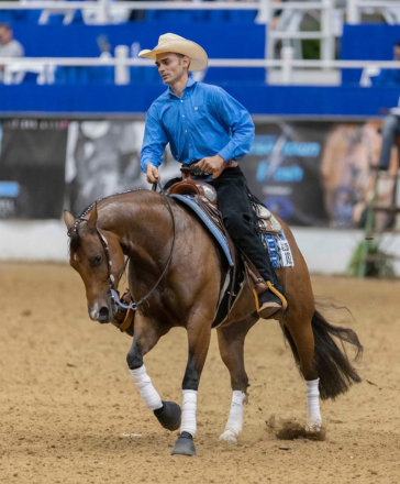 HorseID: 2298294 Dun It Trashya - PhotoID: 1079041