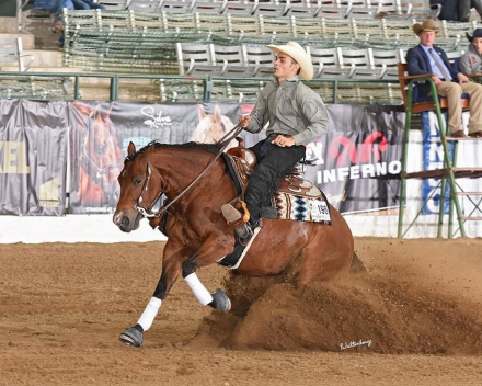 HorseID: 2298294 Dun It Trashya - PhotoID: 1079042