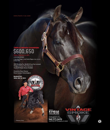 HorseID: 2298294 Dun It Trashya - PhotoID: 1079043