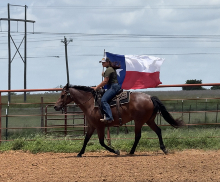 HorseID: 2298505 Drift Peppy Gal - PhotoID: 1079315