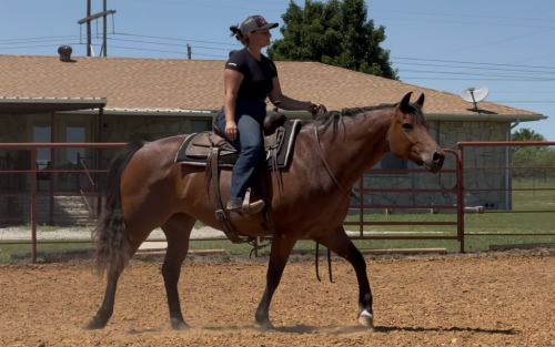 HorseID: 2298505 Drift Peppy Gal - PhotoID: 1079317