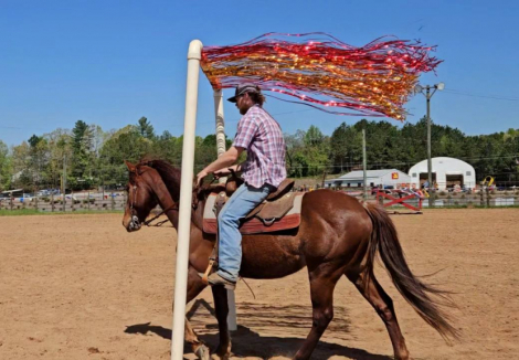 HorseID: 2298667 Fox Hunted.Jumps.  Obstacles. Vetted - PhotoID: 1079516