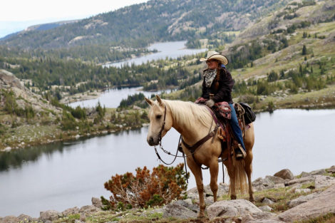 HorseID: 2298696 HQH TIFFIES BAR - PhotoID: 1079563