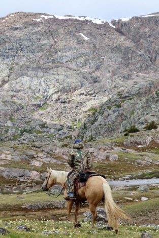 HorseID: 2298696 HQH TIFFIES BAR - PhotoID: 1079564