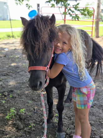 HorseID: 2298713 PERFECT Step Up Pony - PhotoID: 1079578