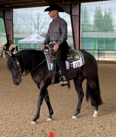 HorseID: 2298776 Bestin slow motion - PhotoID: 1079641