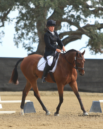 HorseID: 2298811 Iluminare - PhotoID: 1079695