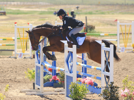 HorseID: 2298811 Iluminare - PhotoID: 1079697