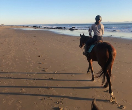 HorseID: 2298811 Iluminare - PhotoID: 1079698