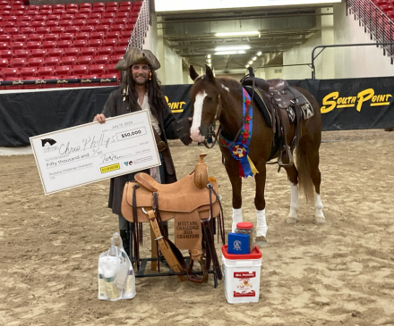 HorseID: 2298848 WFR Sin City Sister - PhotoID: 1079738