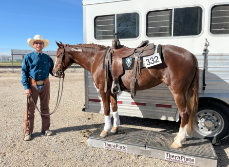 HorseID: 2298848 WFR Sin City Sister - PhotoID: 1079739