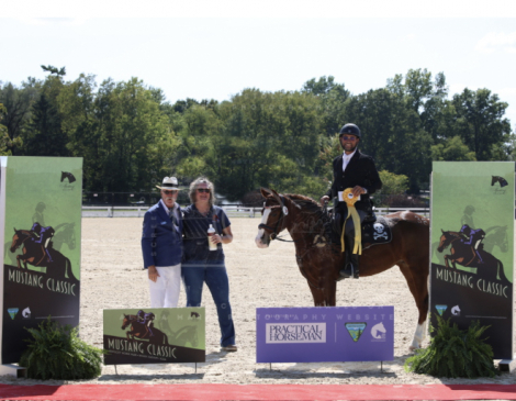 HorseID: 2298848 WFR Sin City Sister - PhotoID: 1079741