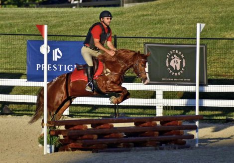 HorseID: 2298848 WFR Sin City Sister - PhotoID: 1079742