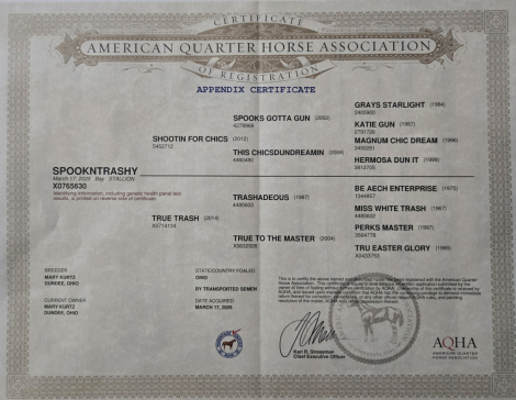 HorseID: 2298853 Spookntrashy - PhotoID: 1079753