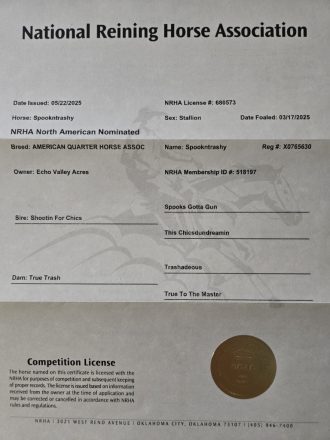 HorseID: 2298853 Spookntrashy - PhotoID: 1079754