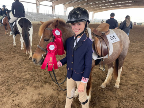 HorseID: 2298884 Ginger - PhotoID: 1080301