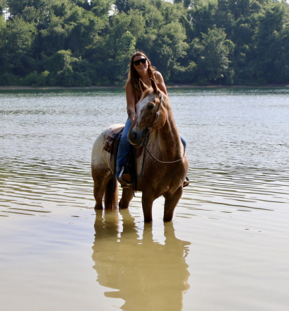 HorseID: 2298903 Casino - PhotoID: 1079859