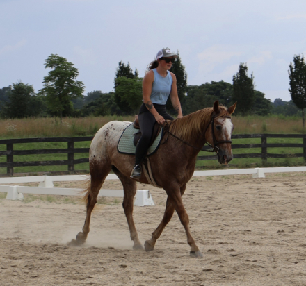 HorseID: 2298903 Casino - PhotoID: 1079860