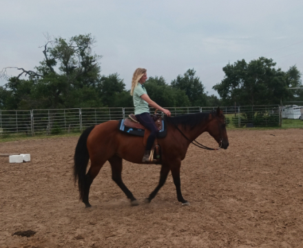 HorseID: 2298958 Brigas Wild Child - PhotoID: 1079941