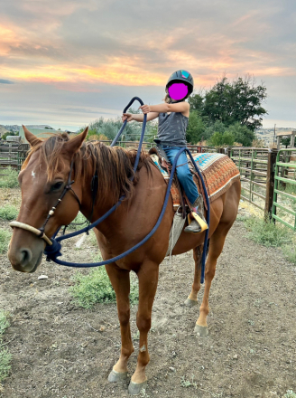 HorseID: 2298969 Bahamian - PhotoID: 1079956