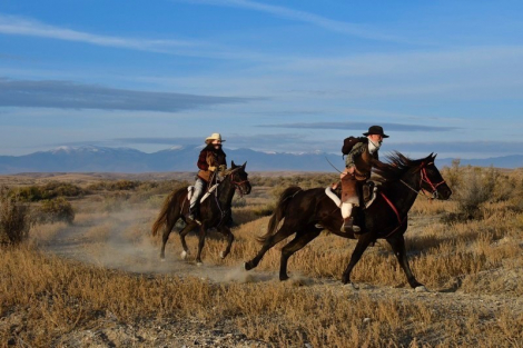 HorseID: 2299010 Fancy Grace - PhotoID: 1079996