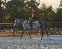 HorseID: 2299034 Saint Helen - PhotoID: 1080025