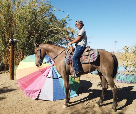 HorseID: 2299039 Beau J'ais - PhotoID: 1080052