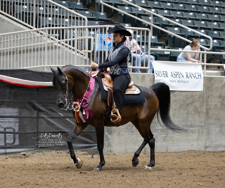 HorseID: 2299054 NIGHT VISIONN - PhotoID: 1080083