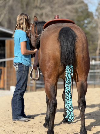 HorseID: 2299199 ElectricVintageShock NRHA $7700+ - PhotoID: 1080268